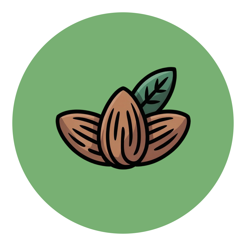 Dry Fruits — almonds, apricots, raisins and more