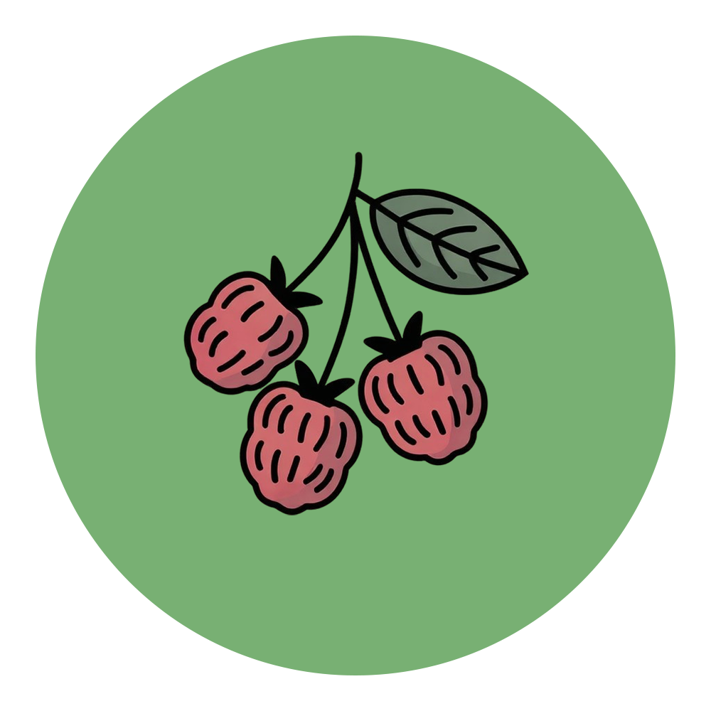 Dried Berries — mulberries, cranberries, cherries