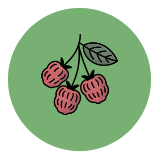 Dried Berries