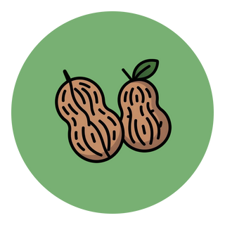 Nuts & Kernels