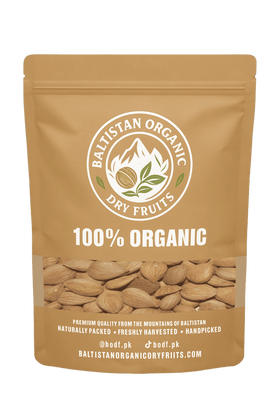Apricot Seeds | BODF