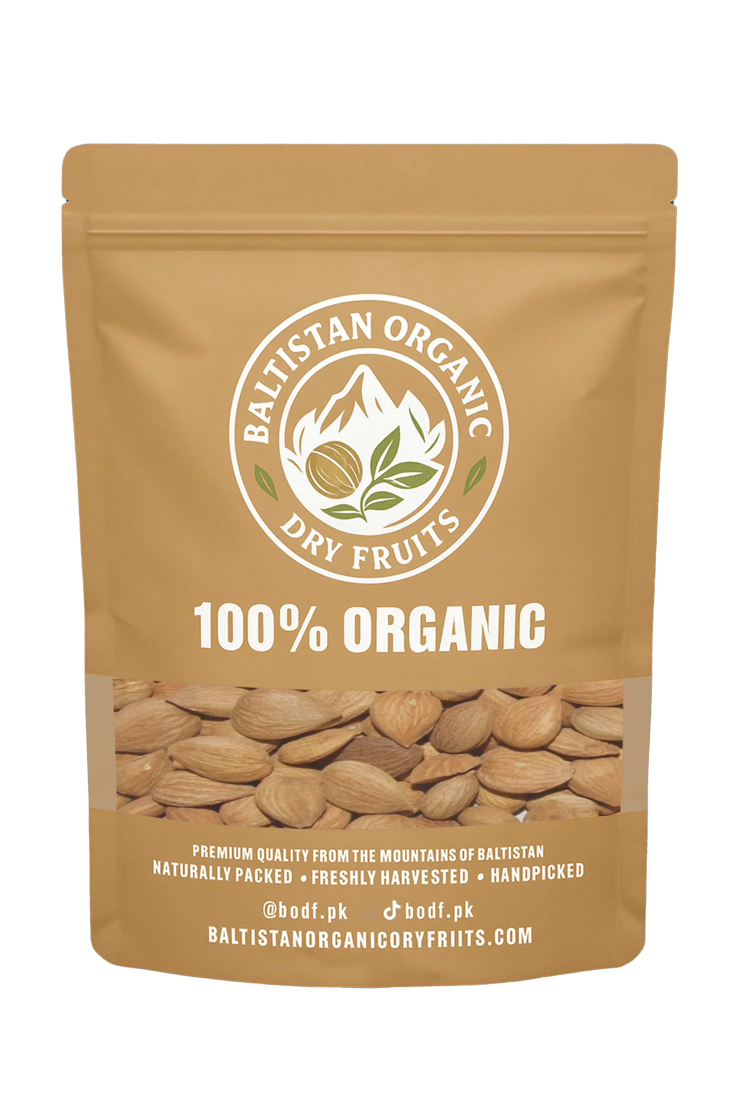 Apricot Seeds | BODF