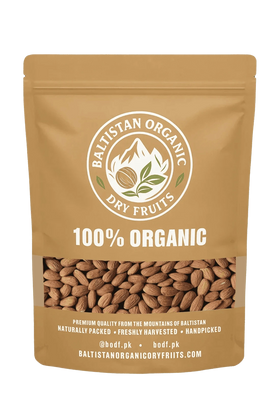 Baltistan Apricot Seed | BODF