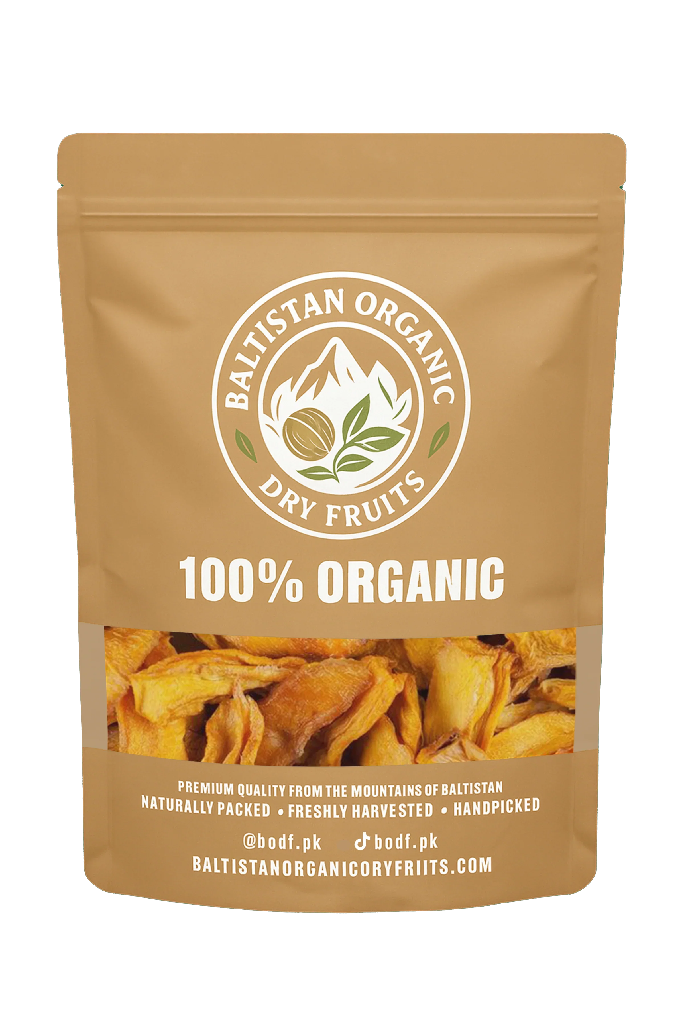 Dried Mango Slices | BODF