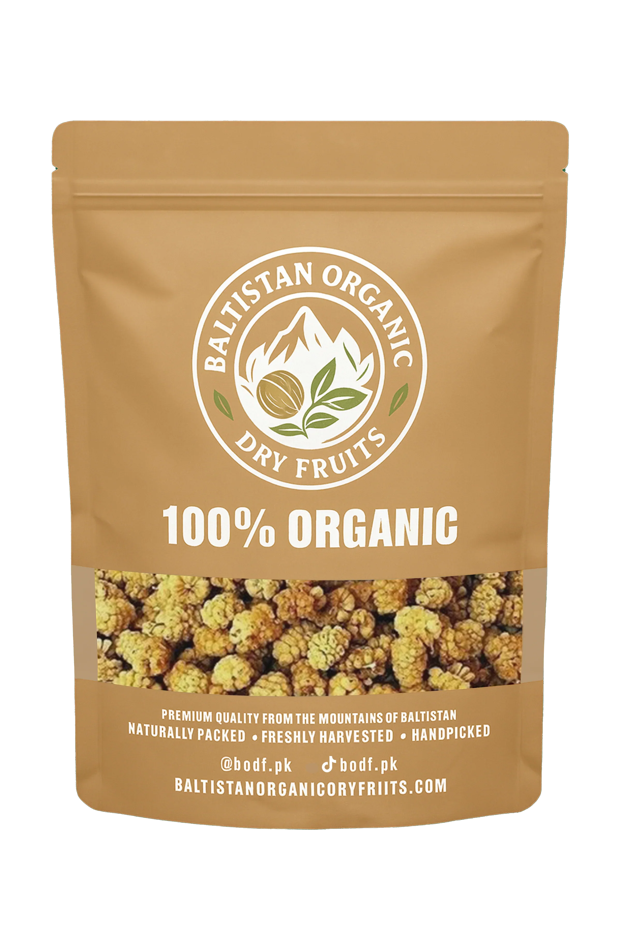 Shahtoot (Mulberries) | BODF