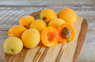 Apricot Double Halman