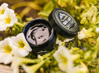 Premium Aftabi Shilajit